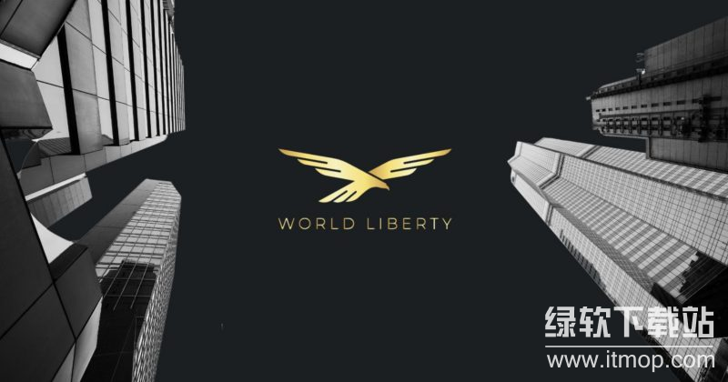 WLFI币的“治理优先”理念是什么？持币者如何参与社区投票？