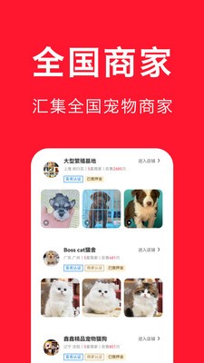 宠物宝安卓版 v4.5.2