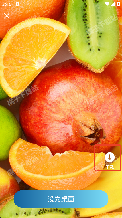 飞羽壁纸app手机版下载
