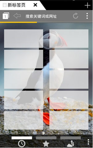 puffin浏览器破解版2023