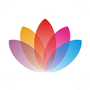 花伴侣