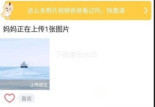 口袋宝宝