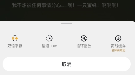 一点英语缓存视频