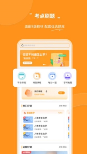 芝士医生
