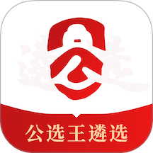 公选王遴选官方版