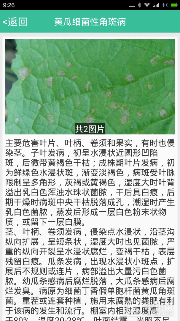 种好地 v1.9.20
