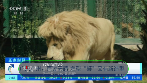 随风直播TV版