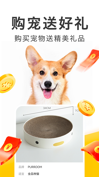 买只宠物软件