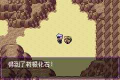 口袋妖怪漆黑的魅影随机版