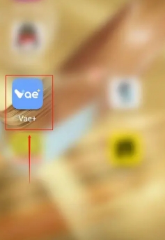 Vae+