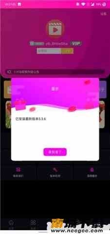 预览图3