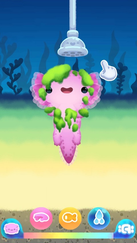 Axolochi