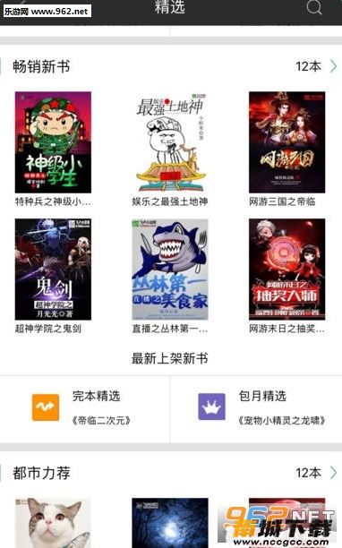 预览图3