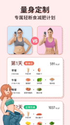 番茄闪轻 v2.1.4安卓版下载