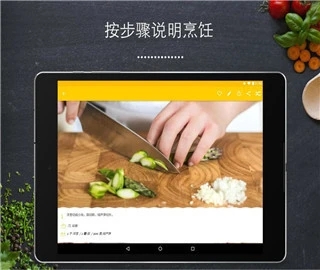 app11