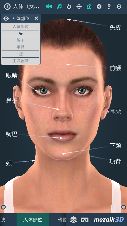 Human body v1.0