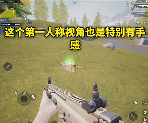 画质MxPro正版11
