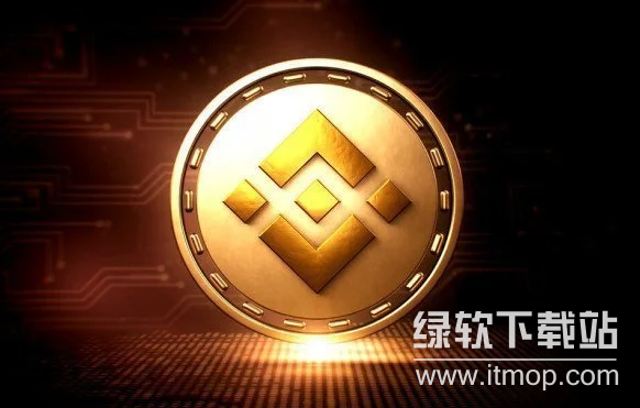 如何参与币某安投票下币活动？币某安投票下币流程详解