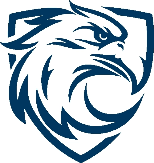 新蓝鹰安卓下载