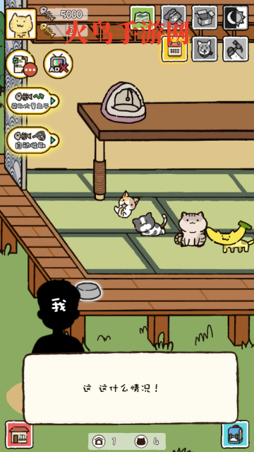 猫咪庭院物语游戏