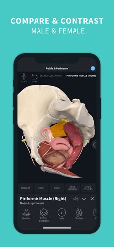 completeanatomy中文版 v9.5.0