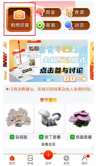 拍照识菌教程配图1