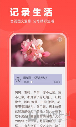 V篇APP
