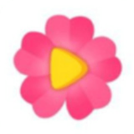 紫罗兰直播安卓版