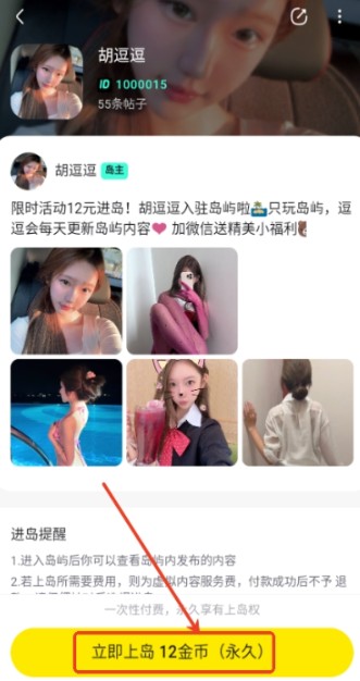 趣岛破解版