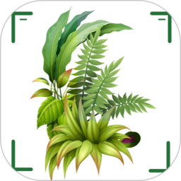 识万物软件v1.1app下载安装