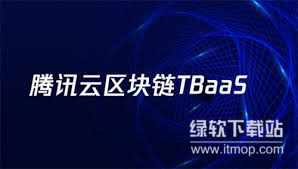 国内区块链公司前十强，哪些企业引领行业潮流？
