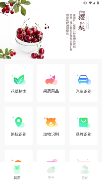 智能拍照识物app