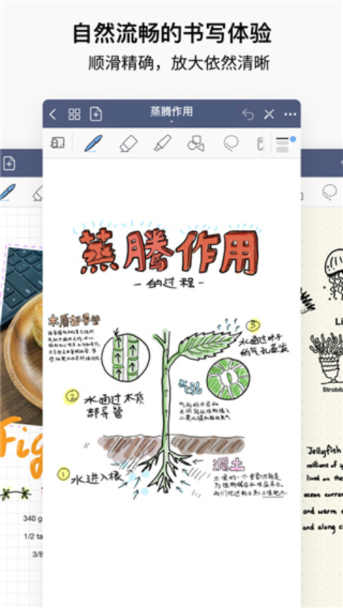 goodnotes平板免费版 v2.7.0