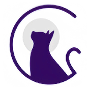 夜猫阅读  V1.5下载