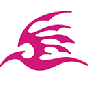 飞极速app下载 v5.1 