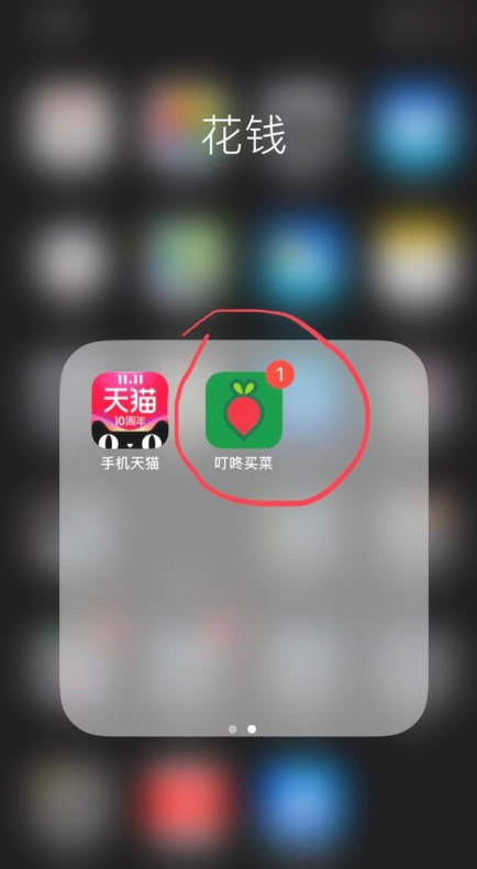 叮咚买菜购物软件