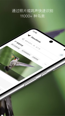 懂鸟app v1.0.15