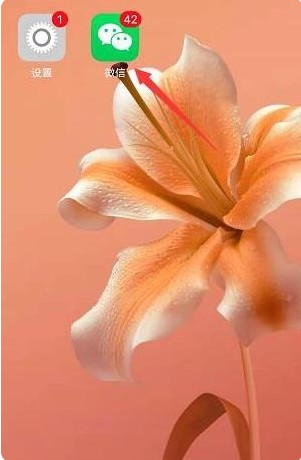 小微信app正版下载