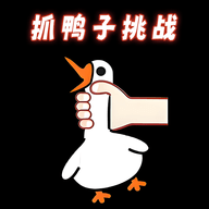 抓鸭子挑战 V1.0