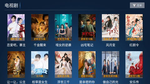 流星雨影院TV内置源版