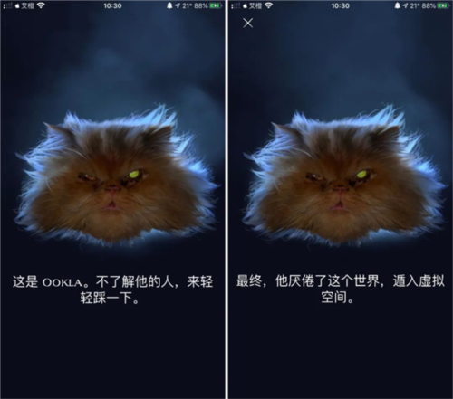 Ookla Speedtest图片12