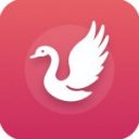 白天鵝追劇app正版