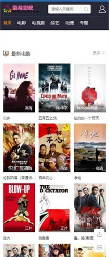 野菊花影视截图