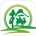 丝路车检 V1.9.3