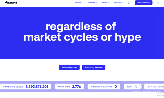 ALGO币是什么？代币如何分配？投资价值与发展前景分析