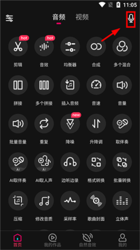 Audio Processing