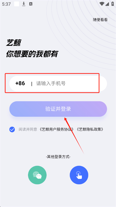 艺鲸
