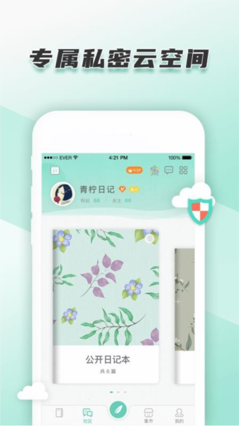 青柠日记3