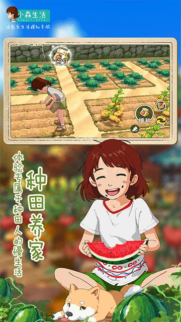 小森生活最新版下载 v2.0.2