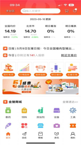 金猪图片